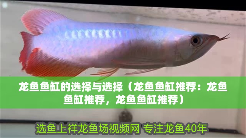 龍魚魚缸的選擇與選擇（龍魚魚缸推薦：龍魚魚缸推薦，龍魚魚缸推薦）