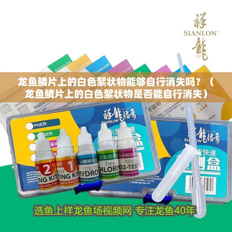 龍魚鱗片上的白色絮狀物能夠自行消失嗎？（龍魚鱗片上的白色絮狀物是否能自行消失） 龍魚鱗片上的白色絮狀物能夠自行消失嗎？（龍魚鱗片上的白色絮狀物是否能自行消失） 龍魚百科