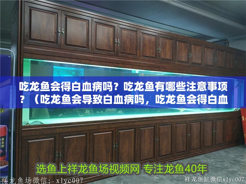 吃龍魚會得白血病嗎？吃龍魚有哪些注意事項？（吃龍魚會導致白血病嗎，吃龍魚會得白血病嗎，）