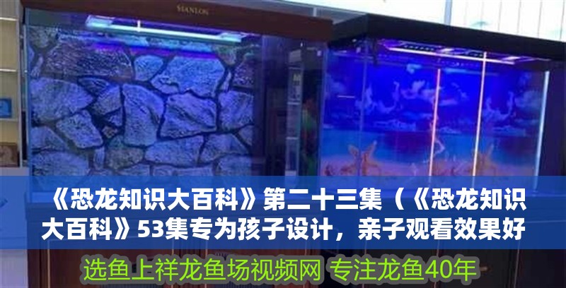 《恐龍知識大百科》第二十三集（《恐龍知識大百科》53集專為孩子設計，親子觀看效果好）