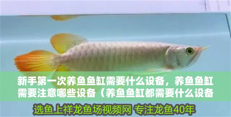 新手第一次養(yǎng)魚魚缸需要什么設(shè)備，養(yǎng)魚魚缸需要注意哪些設(shè)備（養(yǎng)魚魚缸都需要什么設(shè)備）