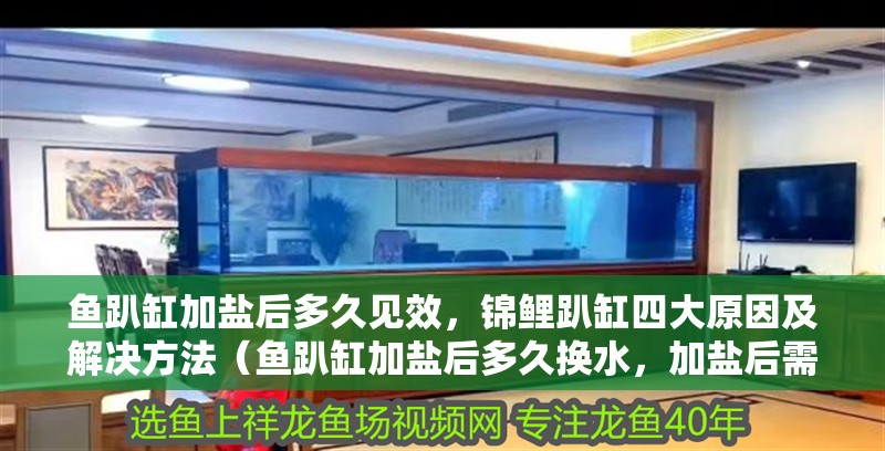 魚趴缸加鹽后多久見效，錦鯉趴缸四大原因及解決方法（魚趴缸加鹽后多久換水，加鹽后需要停食多久）