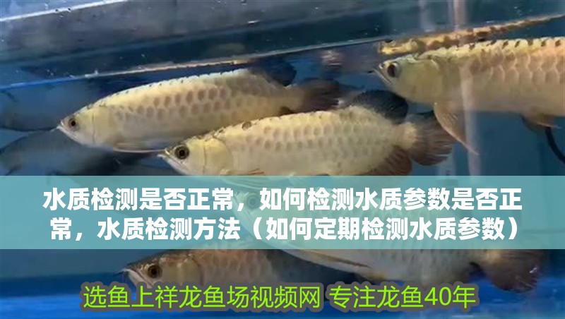 水質檢測是否正常，如何檢測水質參數是否正常，水質檢測方法（如何定期檢測水質參數）