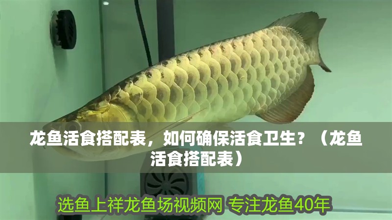 龍魚活食搭配表，如何確保活食衛生？（龍魚活食搭配表）