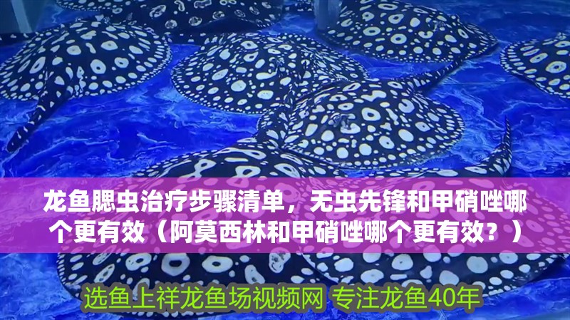 龍魚腮蟲治療步驟清單，無蟲先鋒和甲硝唑哪個更有效（阿莫西林和甲硝唑哪個更有效？）