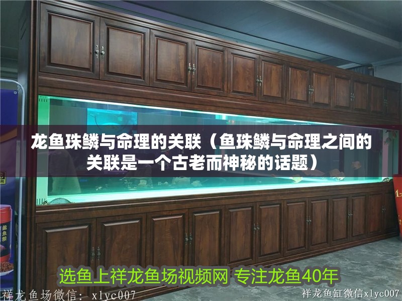 龍魚珠鱗與命理的關聯（魚珠鱗與命理之間的關聯是一個古老而神秘的話題）