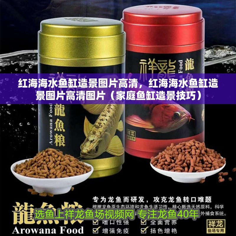 紅海海水魚缸造景圖片高清，紅海海水魚缸造景圖片高清圖片（家庭魚缸造景技巧）