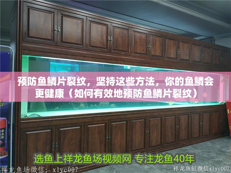 預(yù)防魚(yú)鱗片裂紋，堅(jiān)持這些方法，你的魚(yú)鱗會(huì)更健康（如何有效地預(yù)防魚(yú)鱗片裂紋）