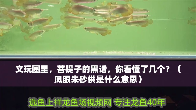 文玩圈里，菩提子的黑話，你看懂了幾個？（鳳眼朱砂供是什么意思）