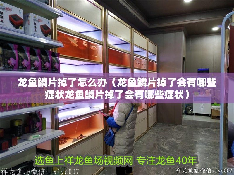 龍魚鱗片掉了怎么辦（龍魚鱗片掉了會有哪些癥狀龍魚鱗片掉了會有哪些癥狀）