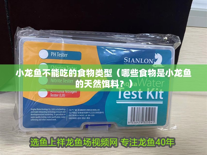 小龍魚不能吃的食物類型（哪些食物是小龍魚的天然餌料？）