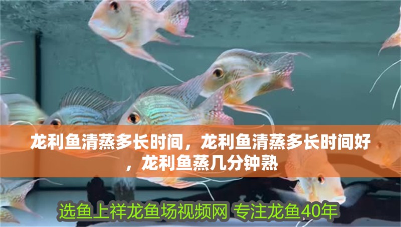 龍利魚清蒸多長(zhǎng)時(shí)間，龍利魚清蒸多長(zhǎng)時(shí)間好，龍利魚蒸幾分鐘熟