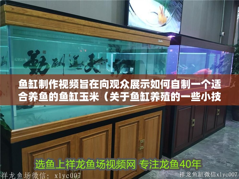 魚缸制作視頻旨在向觀眾展示如何自制一個適合養魚的魚缸玉米（關于魚缸養殖的一些小技巧）