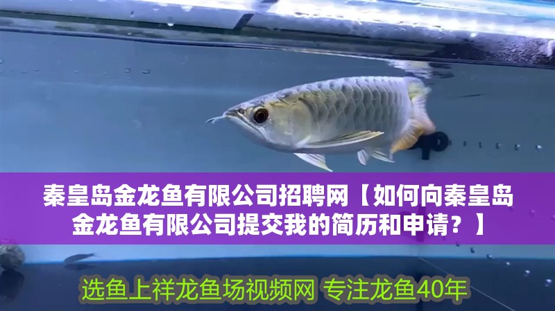 秦皇島金龍魚有限公司招聘網【如何向秦皇島金龍魚有限公司提交我的簡歷和申請？】