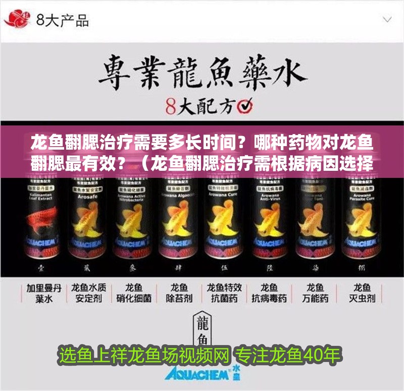 龍魚翻腮治療需要多長時間？哪種藥物對龍魚翻腮最有效？（龍魚翻腮治療需根據病因選擇藥物）