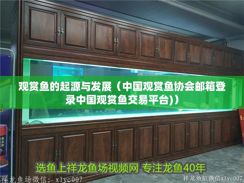 觀賞魚的起源與發展（中國觀賞魚協會郵箱登錄中國觀賞魚交易平臺)） 觀賞魚的起源與發展（中國觀賞魚協會郵箱登錄中國觀賞魚交易平臺)） 觀賞魚百科