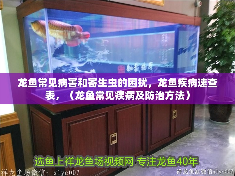 龍魚常見病害和寄生蟲的困擾，龍魚疾病速查表，（龍魚常見疾病及防治方法）