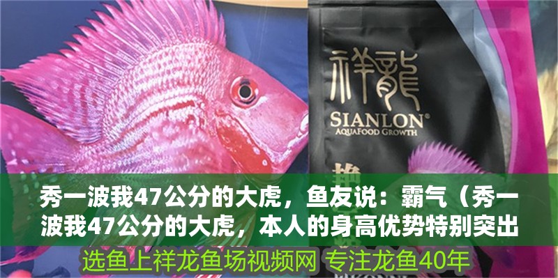 秀一波我47公分的大虎，魚友說：霸氣（秀一波我47公分的大虎，本人的身高優(yōu)勢特別突出）
