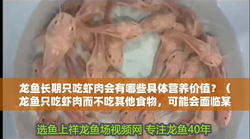 龍魚長期只吃蝦肉會有哪些具體營養(yǎng)價值？（龍魚只吃蝦肉而不吃其他食物，可能會面臨某些營養(yǎng)缺乏的風險）