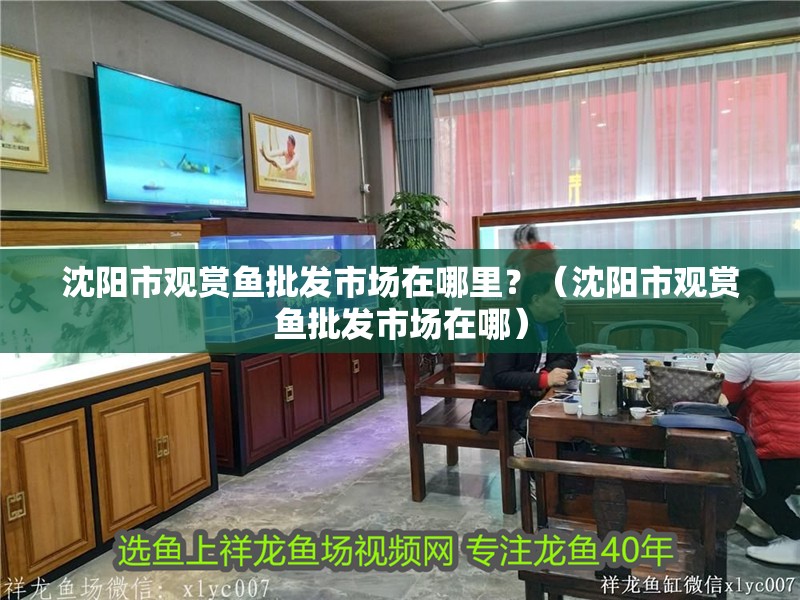 沈陽市觀賞魚批發(fā)市場在哪里？（沈陽市觀賞魚批發(fā)市場在哪）