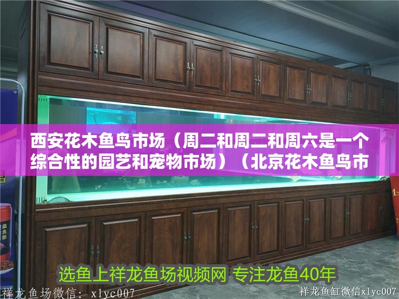 西安花木魚鳥市場（周二和周二和周六是一個綜合性的園藝和寵物市場）（北京花木魚鳥市場在哪）