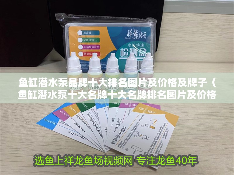 魚缸潛水泵品牌十大排名圖片及價格及牌子（魚缸潛水泵十<strong><mark>大名</mark></strong>牌十<strong><mark>大名</mark></strong>牌排名圖片及價格介紹）