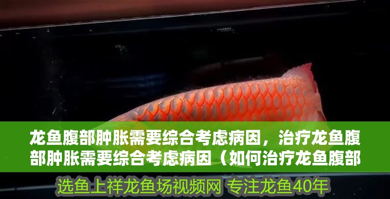 龍魚腹部腫脹需要綜合考慮病因，治療龍魚腹部腫脹需要綜合考慮病因（如何治療龍魚腹部腫脹）