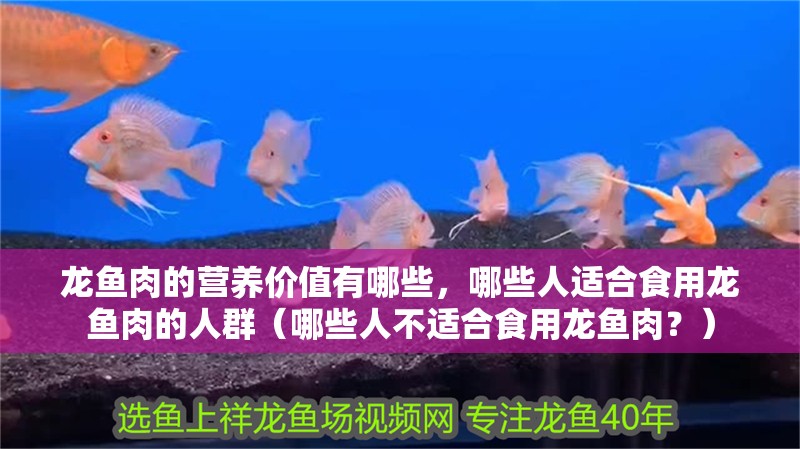 龍魚肉的營養價值有哪些，哪些人適合食用龍魚肉的人群（哪些人不適合食用龍魚肉？）