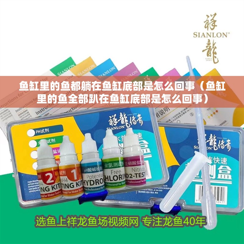 魚缸里的魚都躺在魚缸底部是怎么回事（魚缸里的魚全部趴在魚缸底部是怎么回事）