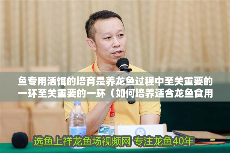 魚專用活餌的培育是養龍魚過程中至關重要的一環至關重要的一環（如何培養適合龍魚食用的活餌）