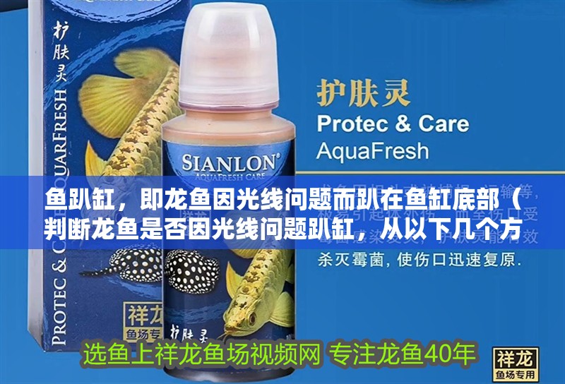 魚趴缸，即龍魚因光線問題而趴在魚缸底部（判斷龍魚是否因光線問題趴缸，從以下幾個方面進行觀察和測試）