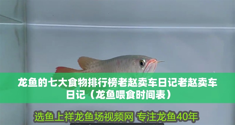 龍魚(yú)的七大食物排行榜老趙賣車日記老趙賣車日記（龍魚(yú)喂食時(shí)間表）