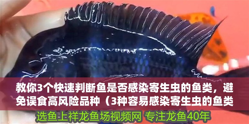 教你3個快速判斷魚是否感染寄生蟲的魚類，避免誤食高風險品種（3種容易感染寄生蟲的魚類）