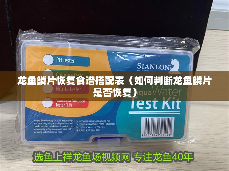 龍魚鱗片恢復食譜搭配表（如何判斷龍魚鱗片是否恢復）