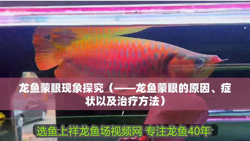 龍魚蒙眼現象探究（——龍魚蒙眼的原因、癥狀以及治療方法）