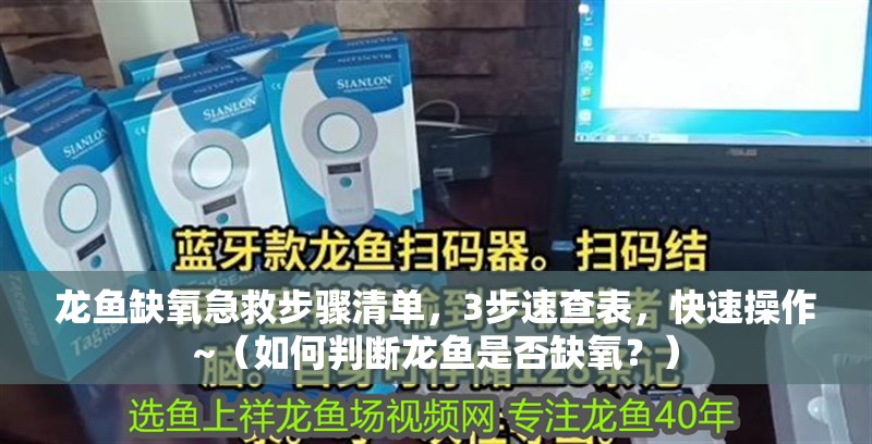 龍魚缺氧急救步驟清單，3步速查表，快速操作~（如何判斷龍魚是否缺氧？）