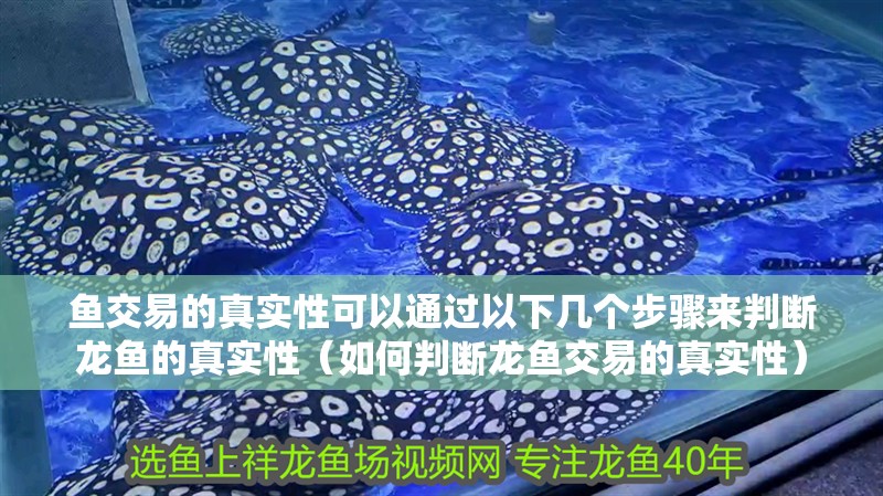魚交易的真實(shí)性可以通過以下幾個(gè)步驟來判斷龍魚的真實(shí)性（如何判斷龍魚交易的真實(shí)性）
