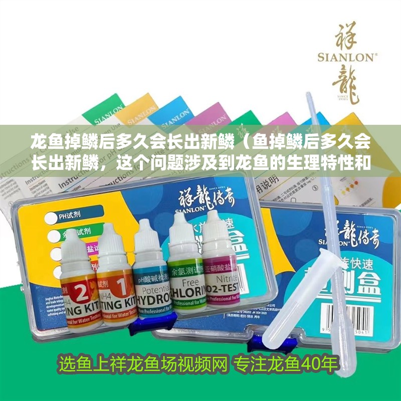 龍魚掉鱗后多久會長出新鱗（魚掉鱗后多久會長出新鱗，這個問題涉及到龍魚的生理特性和環境因素）