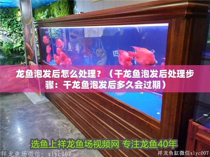 給大魚缸換水的作文:體驗給大魚缸換水的樂趣:體驗給大魚缸換水:給大魚缸換水的作文 龍魚泡發后怎么處理?(干龍魚泡發后處理步驟:干龍魚泡發后多久會過期) 龍魚百科 龍魚泡發后怎么處理?(干龍魚泡發后處理步驟:干龍魚泡發后多久會過期) 龍魚泡發后怎么處理?(干龍魚泡發后處理步驟:干龍魚泡發后多久會過期) 龍魚百科