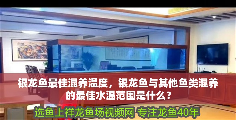 銀龍魚最佳混養(yǎng)溫度，銀龍魚與其他魚類混養(yǎng)的最佳水溫范圍是什么？ 銀龍魚最佳混養(yǎng)溫度，銀龍魚與其他魚類混養(yǎng)的最佳水溫范圍是什么？ 觀賞魚百科
