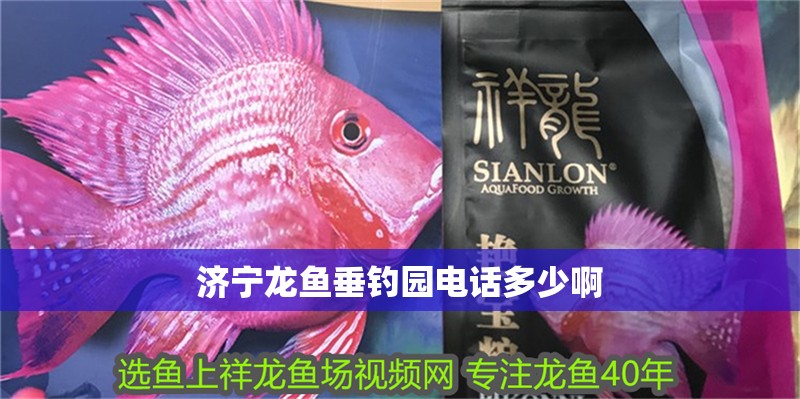 濟寧龍魚垂釣園電話多少啊 濟寧龍魚垂釣園電話多少啊 觀賞魚百科