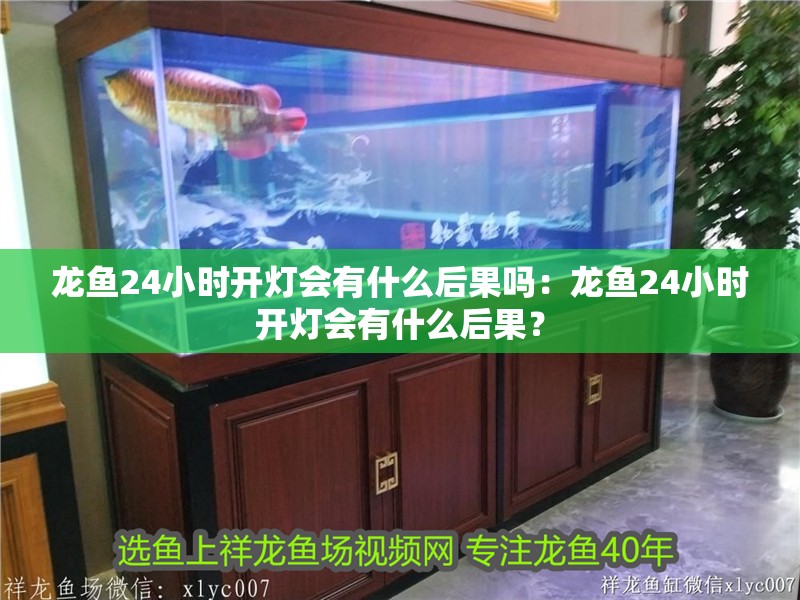 龍魚24小時開燈會有什么后果嗎：龍魚24小時開燈會有什么后果？ 龍魚24小時開燈會有什么后果嗎：龍魚24小時開燈會有什么后果？ 水族問答