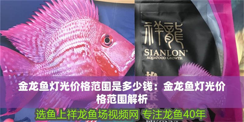金龍魚燈光價格范圍是多少錢：金龍魚燈光價格范圍解析