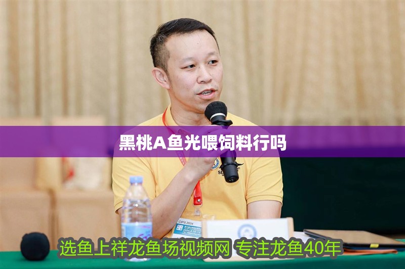 龍魚干蝦有營養嗎 黑桃A魚光喂飼料行嗎 龍魚論壇 黑桃A魚光喂飼料行嗎 黑桃A魚光喂飼料行嗎 龍魚論壇