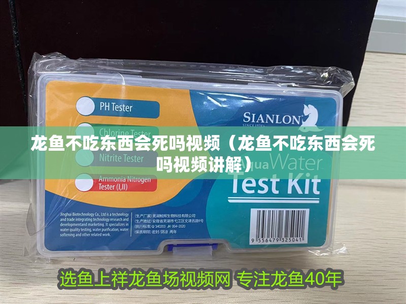 龍魚不吃東西會死嗎視頻（龍魚不吃東西會死嗎視頻講解） 龍魚不吃東西會死嗎視頻（龍魚不吃東西會死嗎視頻講解） 觀賞魚百科