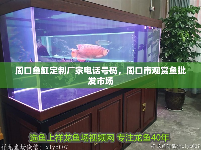 周口魚缸定制廠家電話號碼，周口市觀賞魚批發市場