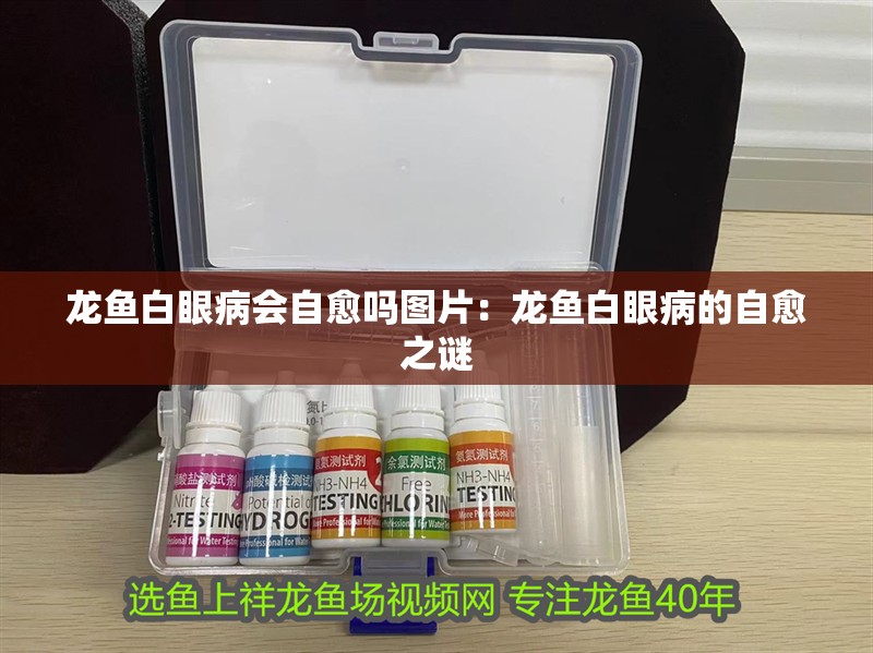 龍魚白眼病會自愈嗎圖片：龍魚白眼病的自愈之謎