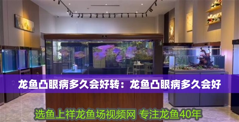龍魚凸眼病多久會好轉(zhuǎn)：龍魚凸眼病多久會好 龍魚凸眼病多久會好轉(zhuǎn)：龍魚凸眼病多久會好 水族問答