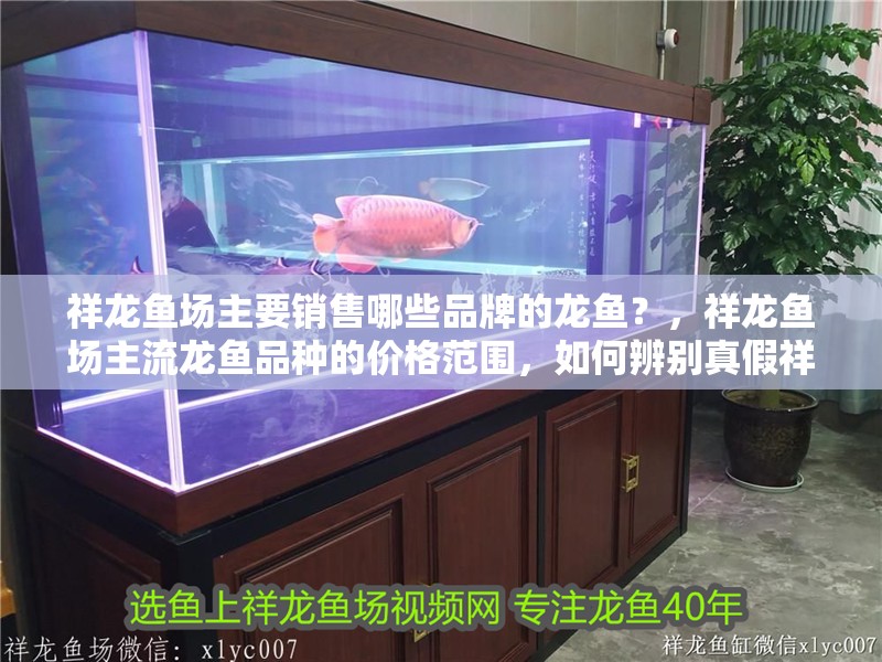 祥龍魚場主要銷售哪些品牌的龍魚？，祥龍魚場主流龍魚品種的價格范圍，如何辨別真假祥龍魚場龍魚？