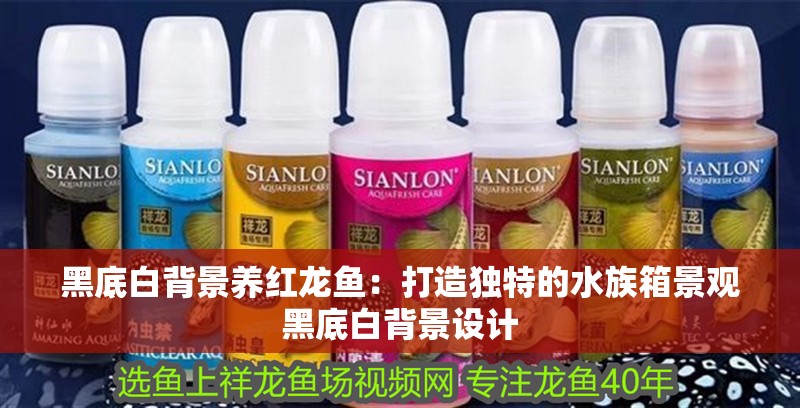 黑底白背景養(yǎng)紅龍魚(yú)：打造獨(dú)特的水族箱景觀黑底白背景設(shè)計(jì)